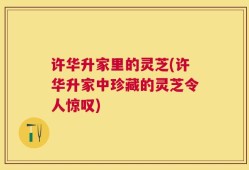 许华升家里的灵芝(许华升家中珍藏的灵芝令人惊叹)