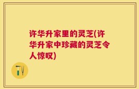 许华升家里的灵芝(许华升家中珍藏的灵芝令人惊叹)