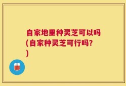 自家地里种灵芝可以吗(自家种灵芝可行吗？)