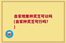 自家地里种灵芝可以吗(自家种灵芝可行吗？)