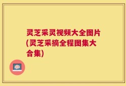 灵芝采灵视频大全图片(灵芝采摘全程图集大合集)