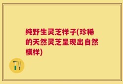 纯野生灵芝样子(珍稀的天然灵芝呈现出自然模样)