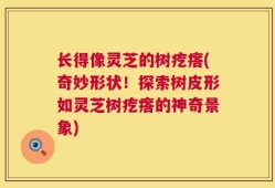长得像灵芝的树疙瘩(奇妙形状！探索树皮形如灵芝树疙瘩的神奇景象)
