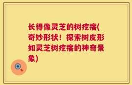 长得像灵芝的树疙瘩(奇妙形状！探索树皮形如灵芝树疙瘩的神奇景象)