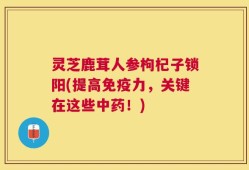 灵芝鹿茸人参枸杞子锁阳(提高免疫力，关键在这些中药！)