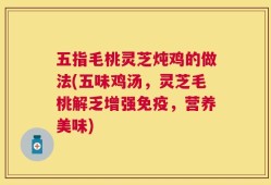 五指毛桃灵芝炖鸡的做法(五味鸡汤，灵芝毛桃解乏增强免疫，营养美味)