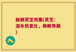 新鲜灵芝效果(灵芝：滋补抗氧化，助眠养颜)