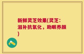 新鲜灵芝效果(灵芝：滋补抗氧化，助眠养颜)