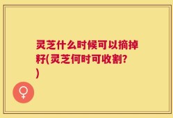 灵芝什么时候可以摘掉籽(灵芝何时可收割？)