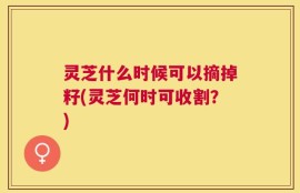 灵芝什么时候可以摘掉籽(灵芝何时可收割？)