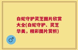 白蛇守护灵芝图片欣赏大全(白蛇守护、灵芝华美，精彩图片赏析)