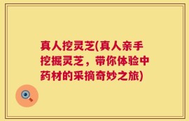 真人挖灵芝(真人亲手挖掘灵芝，带你体验中药材的采摘奇妙之旅)