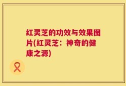 红灵芝的功效与效果图片(红灵芝：神奇的健康之源)