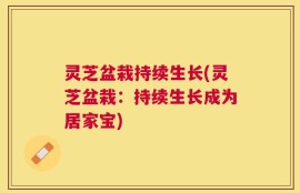 灵芝盆栽持续生长(灵芝盆栽：持续生长成为居家宝)