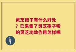 灵芝孢子有什么好处 ？已采集了灵芝孢子粉的灵芝功效作用怎样呢