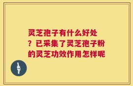 灵芝孢子有什么好处 ？已采集了灵芝孢子粉的灵芝功效作用怎样呢