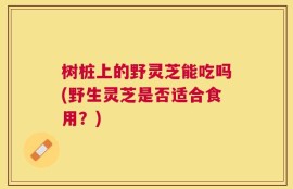 树桩上的野灵芝能吃吗(野生灵芝是否适合食用？)