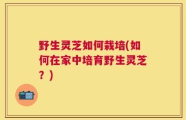 野生灵芝如何栽培(如何在家中培育野生灵芝？)