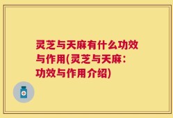 灵芝与天麻有什么功效与作用(灵芝与天麻：功效与作用介绍)