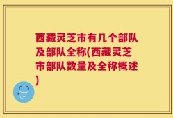 西藏灵芝市有几个部队及部队全称(西藏灵芝市部队数量及全称概述)