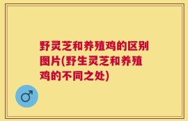 野灵芝和养殖鸡的区别图片(野生灵芝和养殖鸡的不同之处)