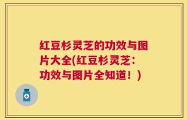 红豆杉灵芝的功效与图片大全(红豆杉灵芝：功效与图片全知道！)