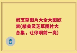 灵芝草图片大全大图欣赏(精美灵芝草图片大合集，让你眼前一亮)