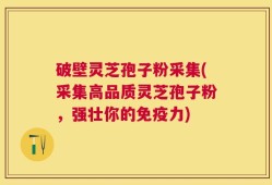 破壁灵芝孢子粉采集(采集高品质灵芝孢子粉，强壮你的免疫力)