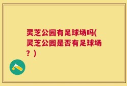灵芝公园有足球场吗(灵芝公园是否有足球场？)