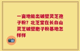 一亩地能出破壁灵芝孢子粉？北芝堂在长白山灵芝破壁胞子粉基地怎样样