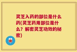 灵芝入药的部位是什么药(灵芝药用部位是什么？解密灵芝功效的秘密)
