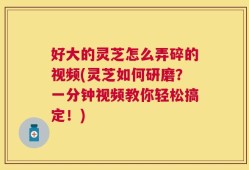 好大的灵芝怎么弄碎的视频(灵芝如何研磨？一分钟视频教你轻松搞定！)
