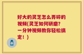 好大的灵芝怎么弄碎的视频(灵芝如何研磨？一分钟视频教你轻松搞定！)