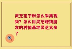 灵芝孢子粉怎么采集视频？怎么用灵芝赚钱朋友的种植基地灵芝太多了
