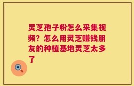 灵芝孢子粉怎么采集视频？怎么用灵芝赚钱朋友的种植基地灵芝太多了
