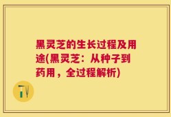 黑灵芝的生长过程及用途(黑灵芝：从种子到药用，全过程解析)