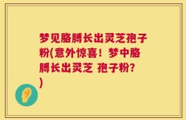 梦见胳膊长出灵芝孢子粉(意外惊喜！梦中胳膊长出灵芝 孢子粉？)