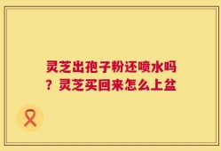 灵芝出孢子粉还喷水吗？灵芝买回来怎么上盆