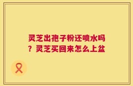 灵芝出孢子粉还喷水吗？灵芝买回来怎么上盆