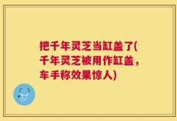 把千年灵芝当缸盖了(千年灵芝被用作缸盖，车手称效果惊人)