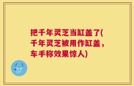 把千年灵芝当缸盖了(千年灵芝被用作缸盖，车手称效果惊人)