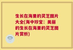生长在海里的灵芝图片大全(海中珍宝：美丽的生长在海里的灵芝图片赏析)