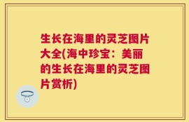 生长在海里的灵芝图片大全(海中珍宝：美丽的生长在海里的灵芝图片赏析)