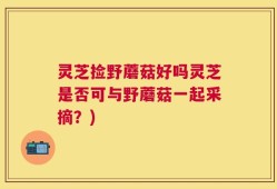 灵芝捡野蘑菇好吗灵芝是否可与野蘑菇一起采摘？)