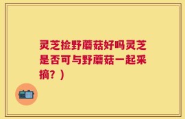 灵芝捡野蘑菇好吗灵芝是否可与野蘑菇一起采摘？)