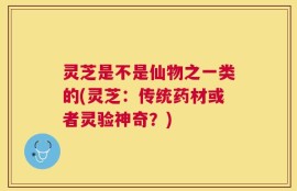 灵芝是不是仙物之一类的(灵芝：传统药材或者灵验神奇？)