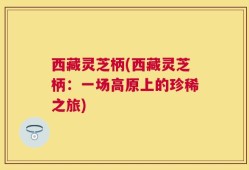 西藏灵芝柄(西藏灵芝柄：一场高原上的珍稀之旅)