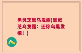 黑灵芝黑乌发露(黑灵芝乌发露：还你乌黑发根！)