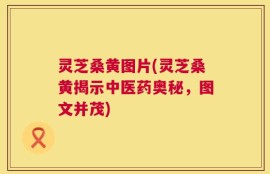 灵芝桑黄图片(灵芝桑黄揭示中医药奥秘，图文并茂)