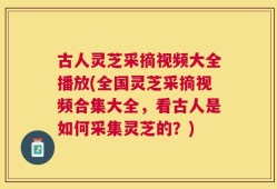 古人灵芝采摘视频大全播放(全国灵芝采摘视频合集大全，看古人是如何采集灵芝的？)